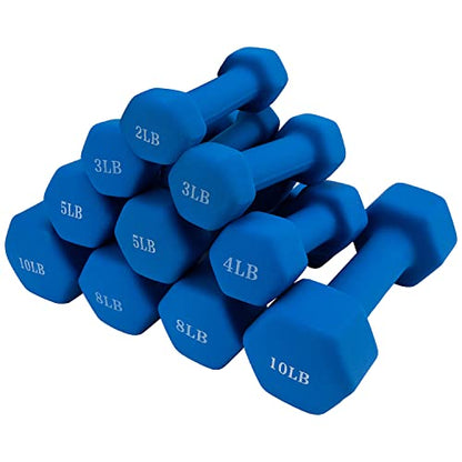 Saorzon Dumbbells Set of 2 Exercise Fitness Dumbbell for Home Gym Free Weights Hand Hex Dumb Bells - color: Royal Blue, style: 1 Pounds,Pair