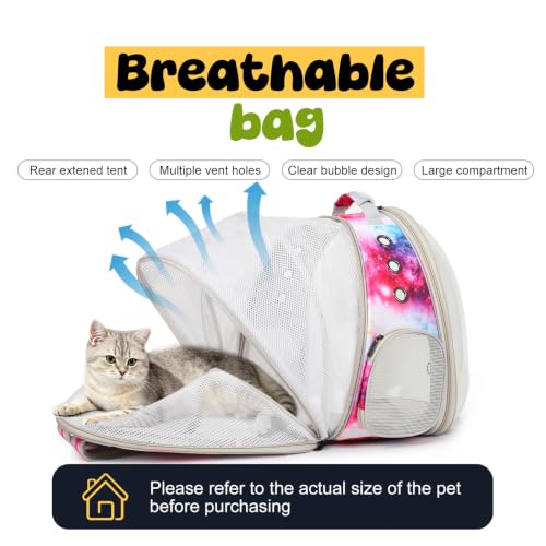 Back Extension Cat Travel Carrier Backpack (Galaxy Pink, Clear Window) - color: Galaxy Pink