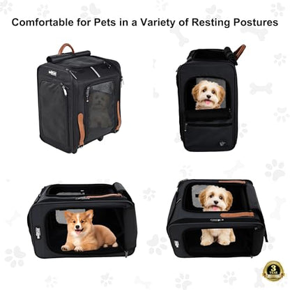 EliteField Deluxe Backpack Pet Carrier (3 Year Warranty, Airline Approved), Travel Soft-Sided Carrier Bag for Dogs, Cats & Small Pets - color: Black, size: 15.0"L x 13.5"W x 9.0"H