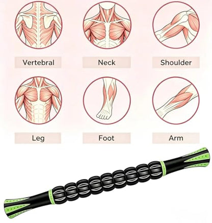 Muscle Roller Stick - A Full-Body Massage Roller that Can Relieve Muscle Soreness, Cramps and Tension After Exercise. It is a Handheld Physical Therapy and Recovery Tool（Black and Green） - color: Green