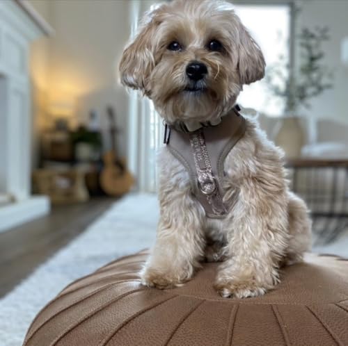 Premium No-Pull Dog Harness Soft Neoprene & Breathable Mesh Vest with Front & Back Clip D-Rings Adjustable Lightweight Walking Harness for Puppies, Small & Medium Dogs (Brown Taupe Snake, M) - color: Brown Taupe Snake, size: M: Neck=15.4-20.1''/Chest=18.1