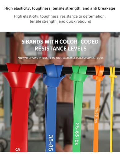 Pull Up Assist Bands Set, 5 Resistance Bands 15-125 lbs, Exercise Bands with Storage Bag, Workout Fitness Training