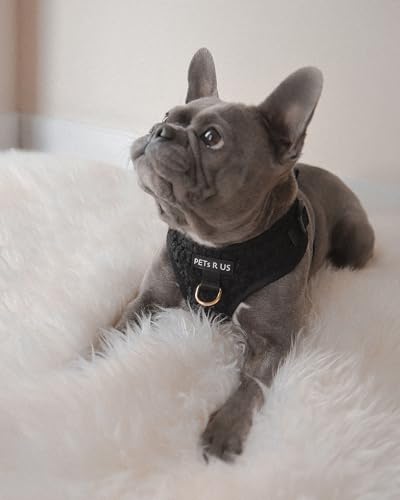 Premium No-Pull Dog Harness Soft Neoprene & Breathable Mesh Vest with Front & Back Clip D-Rings Adjustable Lightweight Walking Harness for Puppies, Small & Medium Dogs (Black Boucle, L) - color: Black Boucle, size: L: Neck=16.5-22''/Chest=22.4-32.7''