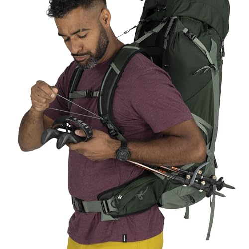 Osprey Talon 44L Men's Lightweight Hiking Backpack - Daypack for Travel & Camping, Green Canopy/Pine Leaf, S/M - color: Green Canopy/Pine Leaf, size: Small-Medium