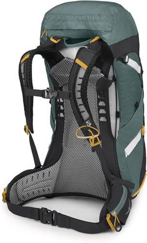 Osprey Sirrus 36L Women's Hiking Backpack, Succulent Green - color: Succulent Green, size: 36L