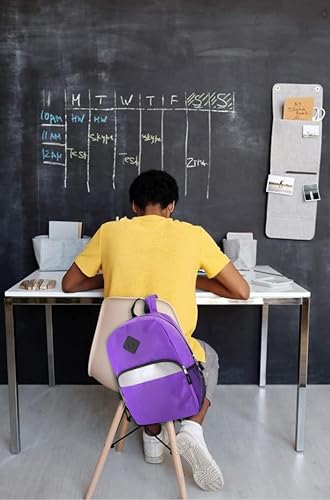 Trail maker 17" Backpack – Reflective School Backpack with Padded Straps, Water Bottle Pockets for Kids & Adults, School Travel Camp (Purple) - color: Purple