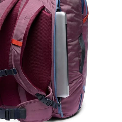 Cotopaxi Allpa 35L Travel Pack, Fig - color: Fig