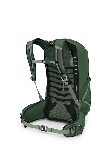 Osprey Talon 22L Men's Lightweight Hiking Backpack - Small Daypack for Travel & Camping, Green Canopy/Pine Leaf - color: Green Canopy/Pine Leaf, size: 22L - Standard Fit
