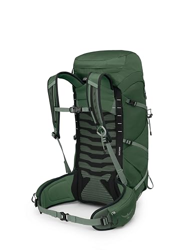 Osprey Talon 33L Men's Lightweight Hiking Backpack - Daypack for Travel & Camping, Green Canopy/Pine Leaf - color: Green Canopy/Pine Leaf, size: 33L - Standard Fit