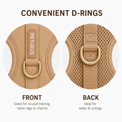 Premium No-Pull Dog Harness Soft Neoprene & Breathable Mesh Vest with Front & Back Clip D-Rings Adjustable Lightweight Walking Harness for Puppies, Small & Medium Dogs (Beige, S) - color: Beige, size: S: Neck=13.8-17.3''/Chest=16.1-21.3''