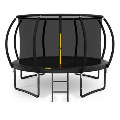 10FT 12FT 14FT 15FT 16FT Outdoor Trampoline with Enclosure Net, Heavy Duty Yard Trampolines, ASTM Approval Recreational Trampolines for Kids and Adults - size: 10FT