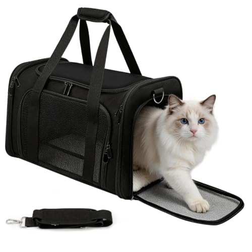 Cat Carrier Soft, Dog Carriers for Small Dogs/Large Cats (Up to 16lbs), with High Breathability, Shoulder Strap, Removable Pad, Pet Carrier Airline Approved, for Home Outdoor Travel (Black) - color: Black