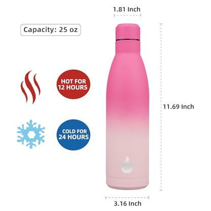 BJPKPK 25 oz Insulated Stainless Steel Water Bottle, Metal Sports Flask - color: Cherry, size: 25 Ounces