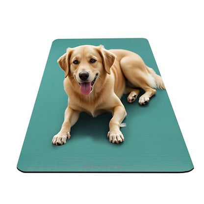 Gaiam Yoga Mat, Pilates & Exercise Mat, Thick Mat 2/5" (10mm) Workout Mat with Easy-Cinch Carrying Strap for Home & Gym Workouts - color: Teal