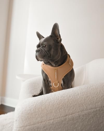 Premium No-Pull Dog Harness Soft Neoprene & Breathable Mesh Vest with Front & Back Clip D-Rings Adjustable Lightweight Walking Harness for Puppies, Small & Medium Dogs (Beige, L) - color: Beige, size: L: Neck=16.5-22''/Chest=22.4-32.7''