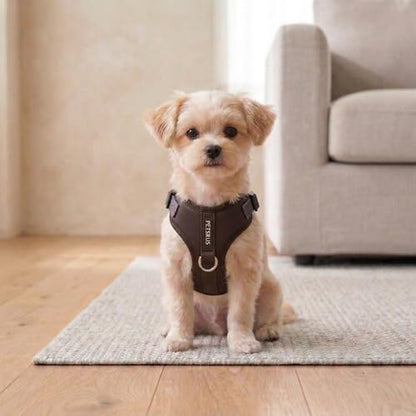 Premium No-Pull Dog Harness Soft Neoprene & Breathable Mesh Vest with Front & Back Clip D-Rings Adjustable Lightweight Walking Harness for Puppies, Small & Medium Dogs (Dark Chocolate Brown, L) - color: Dark Chocolate Brown, size: L: Neck=16.5-22''/Chest=