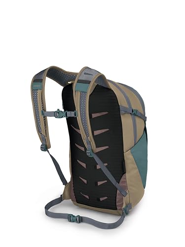 Osprey Daylite Plus Commuter Backpack - Lightweight, Everyday Pack with Laptop Sleeve and Water Bottle Pockets - Ideal for Campus, Work, and Travel with Versatile Storage, Cascade Blue/Latte Brown - color: Cascade Blue/Latte Brown