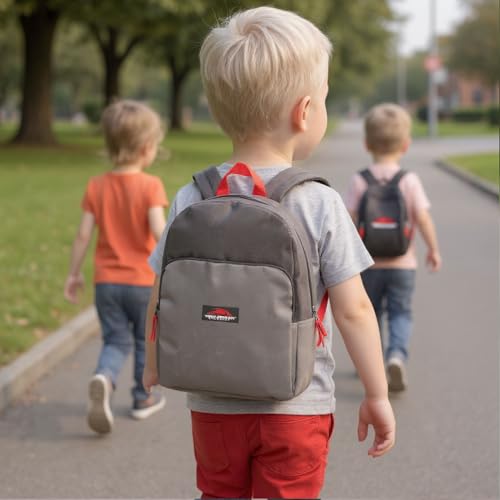 Trail maker 15 Inch Backpack for Kids, Preschool, Elementary & Middle School Students – Spacious Bookbag with Large Front Pocket, Adjustable Straps, Fits up to 13 Inch Laptop (Grey) - color: Grey