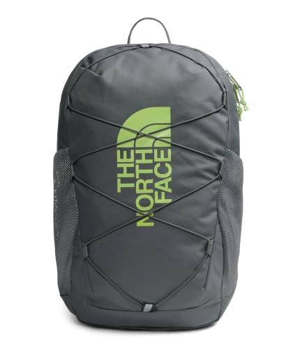 The North Face Kids' Court Jester Backpack, Smoked Pearl/Sport Moss, OSFA - color: Smoked Pearl/Sport Moss