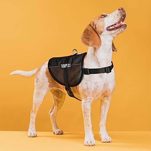 Dogline 13"-16" MaxAire Mesh Vest for Dogs and 2 Removable Therapy Dog Patches, Small, Black - color: Black, size: Girth 13 by 16"