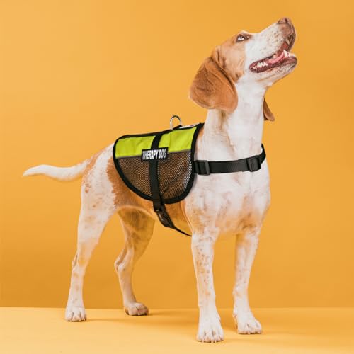 Dogline MaxAire Multi-Purpose Mesh Vest for Dogs and 2 Removable Therapy Dog Patches, Small, Green - color: Green, size: Girth 13 by 16"