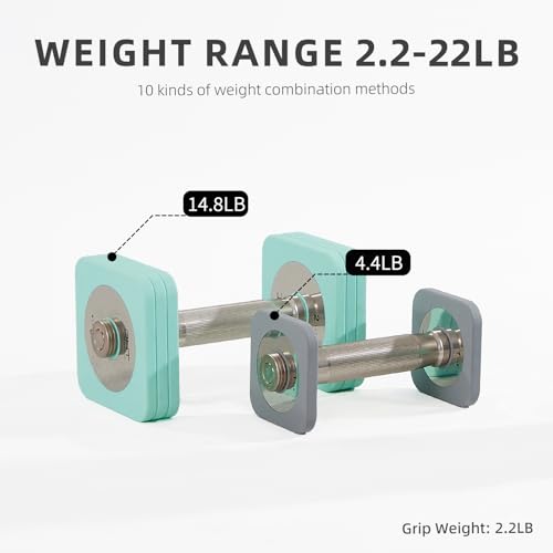 DHT Adjustable Dumbbells, Dumbbell Sets with Rack, Free Weights Dumbbells Set, All-Purpose Fitness, Anti-Rolling, Weights Set for Gym, Home, Office, 2.2-22 lbs, 1 Set - color: Macaron