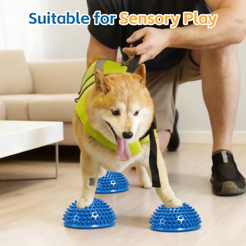 Wobble Cushion Set for Sensory Kids and Balance Training - Disc Plus 4 Pods, Board With Pump, Inflatable Stepping Pads for Adults - color: Include 2PCS Blue hedgehog balance pods and 1 air pump