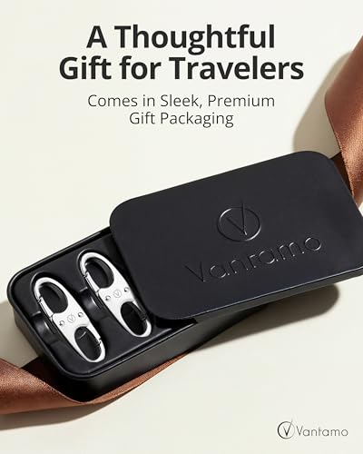 Vantamo Premium 4 Zipper Clips Anti Theft for Backpack, Luggage & Purse, Pull Replacement Zipper Locks, Purse Clip for Travel - color: Silver