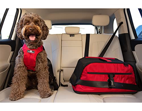Sleepypod Air - Airline Approved Carrier for Cats and Dogs (Olive Green) - color: Olive Green, size: 22.0"L x 10.5"W x 10.5"H