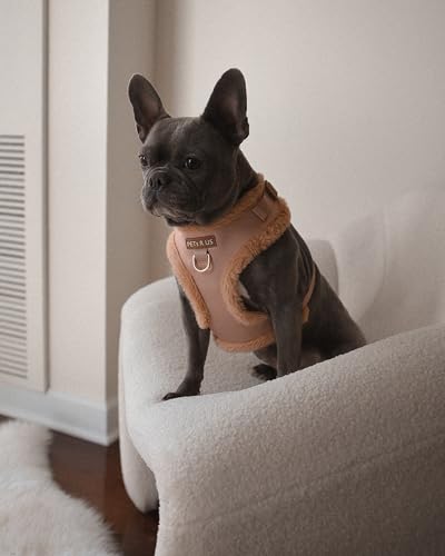 Premium No-Pull Dog Harness Soft Neoprene & Breathable Mesh Vest with Front & Back Clip D-Rings Adjustable Lightweight Walking Harness for Puppies, Small & Medium Dogs (Beige Fur Trim, XS) - color: Beige Fur Trim, size: XS: Neck 10.6-14.2'', Chest 14.2-18