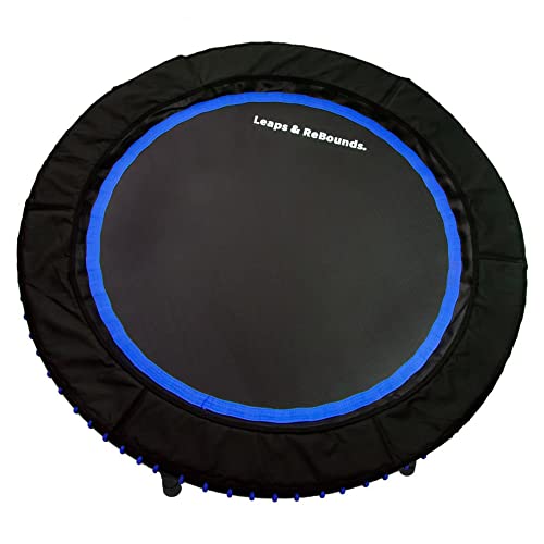 LEAPS & REBOUNDS 48" Adjustable Stability Bar Attachment with 48" Mini Fitness Trampoline and Home Gym Rebounder for Cardio Exercises, Blue