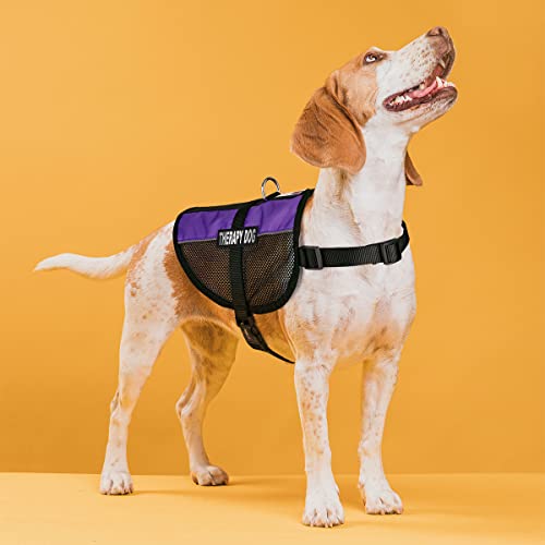 Dogline MaxAire Multi-Purpose Mesh Vest for Dogs and 2 Removable Therapy Dog Patches, Small, Purple - color: Purple, size: Girth 13 by 16"