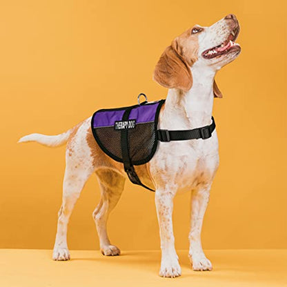 Dogline MaxAire Multi-Purpose Mesh Vest for Dogs and 2 Removable Therapy Dog Patches, Medium, Purple - color: Purple, size: Girth 17 by 21"
