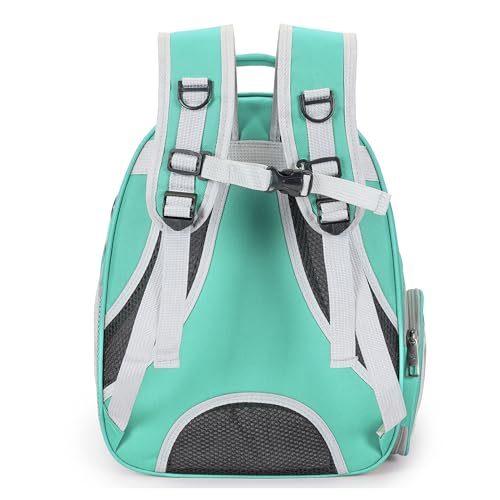 Cat Bubble Backpack Carrier for Small Medium Dogs Cats Carrying Bag, Airline Approved Pet Travel Carrying Bag Dog Hiking Walking Outdoor Backpack (Green) - color: Green