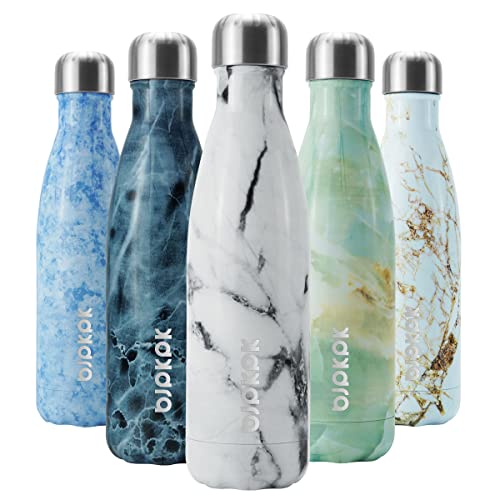 BJPKPK 17 oz Small Insulated Water Bottle, Stainless Steel, Leak Proof - color: Frozen, size: 17 Ounces