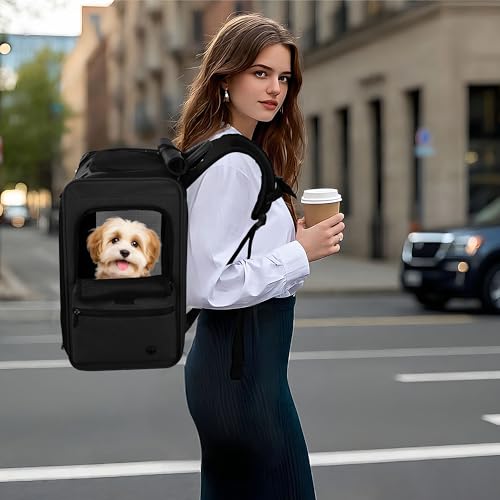 EliteField Deluxe Backpack Pet Carrier (3 Year Warranty, Airline Approved), Travel Soft-Sided Carrier Bag for Dogs, Cats & Small Pets - color: Black, size: 15.0"L x 13.5"W x 9.0"H