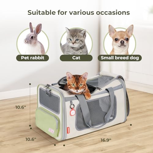 Pawaii Cat Carrier with ID Tag, TSA Airline Approved Soft Sided Collapsible Pet Travel Carrier, Portable Comfortable Convenient Foldable Cat Travel Bag | Up to 13 lbs, 16.9 x 10.6 x 10.6 in, QR pet ID tag, top entry, luggage sleeve, soft fleece pad, folda