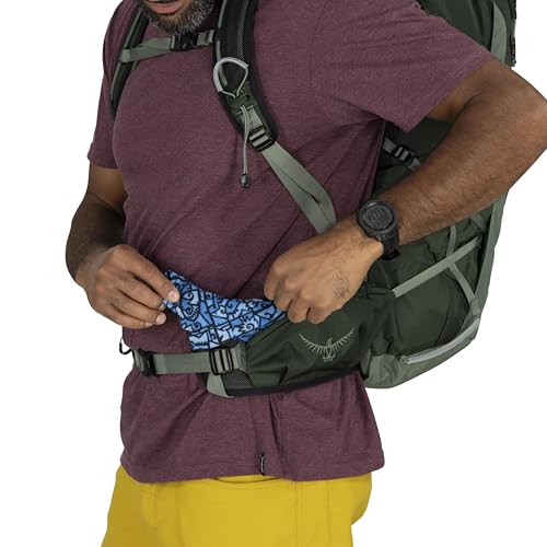 Osprey Talon 33L Men's Lightweight Hiking Backpack - Daypack for Travel & Camping, Green Canopy/Pine Leaf - color: Green Canopy/Pine Leaf, size: 33L - Standard Fit