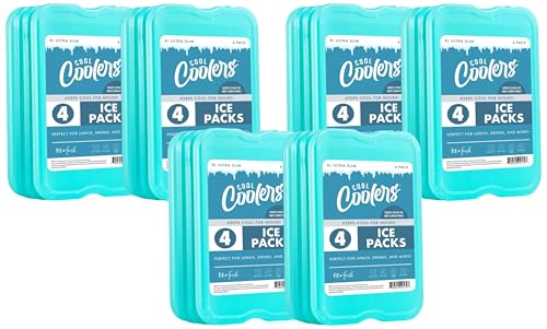 Cool Coolers by Fit & Fresh 4 Pack XL Slim Ice Packs, Quick Freeze Space Saving Reusable Ice Packs for Lunch Boxes or Coolers - color: Green 8 PK