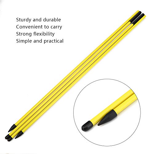 RiToEasysports Swing Trainer Epoxy Fiberglass Direction Indicator Stick 48.23in Foldable Practice Stick for Putting Swing Alignment Training for Beginners and Coaches