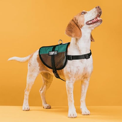 Dogline MaxAire Vest Therapy Dog Removable Patch Adjustable Harness Reflective for Puppies Small Medium and Large Dogs 13 by 16 Inch Girth Teal - color: Teal, size: Girth 13 by 16"