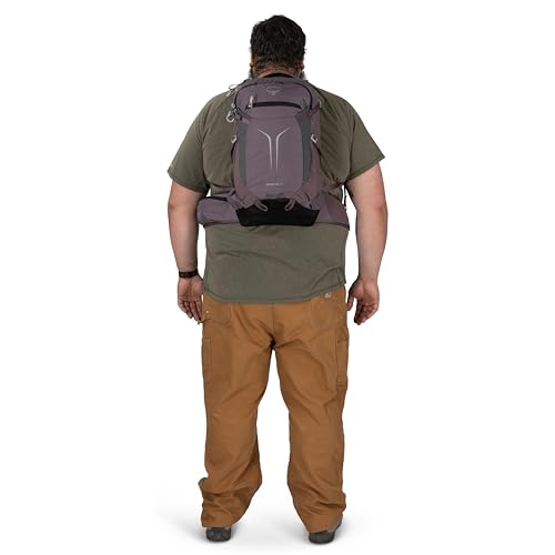Osprey Sportlite 25L Lightweight Hiking Backpack for Men and Women - Everyday Hiking Bag - Travel Daypack, Raven Black, Extended Fit - color: Raven Black, style: 25l - Extended Fit