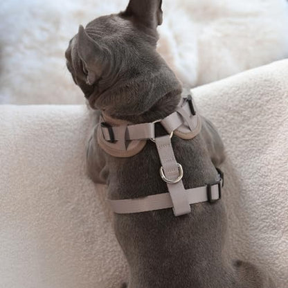 Premium No-Pull Dog Harness Soft Neoprene & Breathable Mesh Vest with Front & Back Clip D-Rings Adjustable Lightweight Walking Harness for Puppies, Small & Medium Dogs (Brown Taupe Snake, XS) - color: Brown Taupe Snake, size: XS: Neck 10.6-14.2'', Chest 1