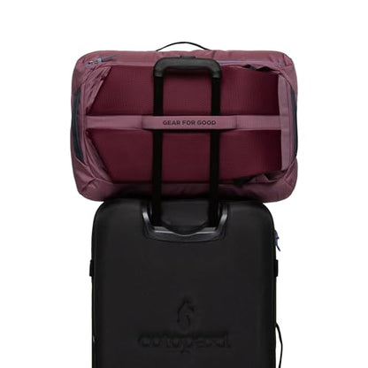 Cotopaxi Allpa 35L Travel Pack, Fig - color: Fig