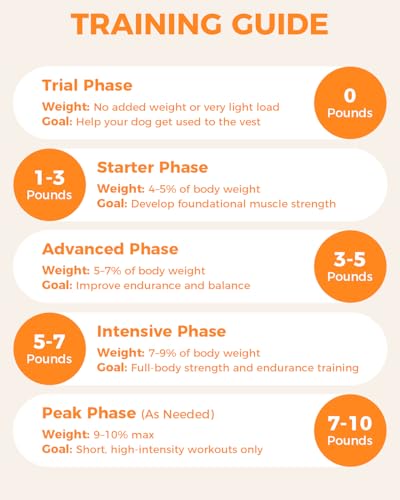 Weighted Dog Vest and Collar Set with 4 Removable 0.88 lb Weight Blocks, No Sand Filling, Training Gear for Medium and Large Dogs, Walking, Conditioning, Muscle Building-L