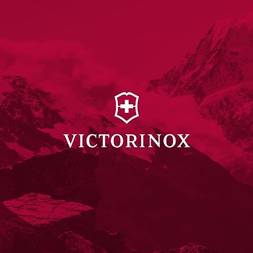 Victorinox Touring 2.0 City Daypack - Professional Laptop Backpack for Business & Outdoor Use - Features Waterproof Pouch - 17 Liters, Black - color: Black