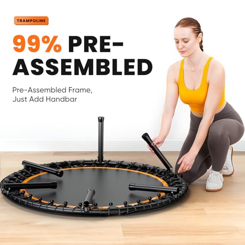 Zupapa 48" Foldable Rebounder, 550LBS Fitness Trampoline with Durable Bungees, Adjustable Handl, Stable & Quiet Exercise Rebounder for Adults, Great Mini Trampoline for Indoor/Garden Workout