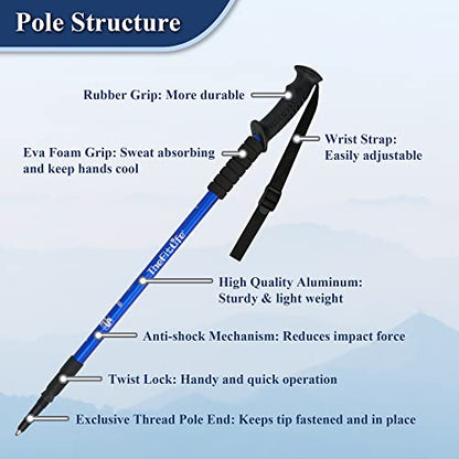 TheFitLife Nordic Walking Trekking Poles - 2 Sticks with Anti-Shock and Quick Lock System, Telescopic, Collapsible, Ultralight for Hiking, Camping, Mountaining, Backpacking, Walking, Trekking - color: Blue