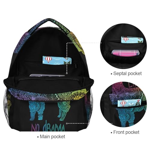 ALAZA Rainbow Llama No Drama Boho Backpack for Kids Boys Girls Student Laptop iPad Tablet Travel School Bag with Multiple Pockets - color: Llama