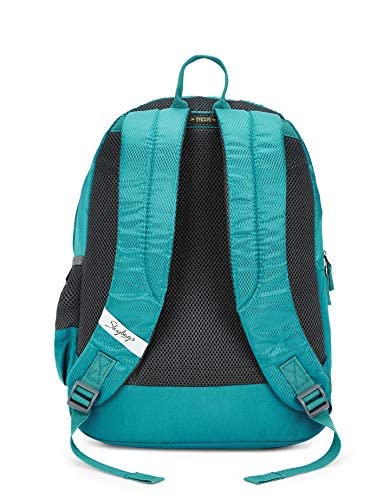 Skybags Casual Backpack 28L, 2 Main Compartments, Bottle Pocket, Front Pocket, Padded Shoulder Strap, Sea Green, One Size